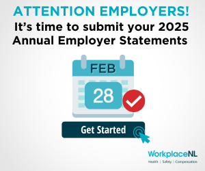 Workplace NL Annual Employer Statements